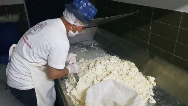 Kızılova Obruk Peyniri Üretimine Başlandı