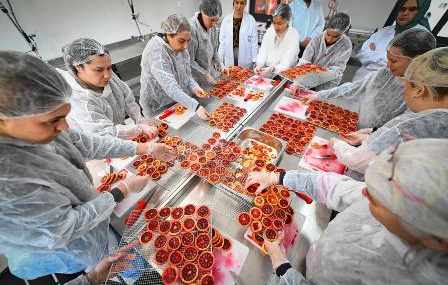 CREATOR: gd-jpeg v1.0 (using IJG JPEG v90), default quality