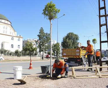 CREATOR: gd-jpeg v1.0 (using IJG JPEG v90), default quality