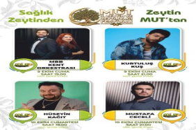 festival zeytin