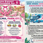 meme kanseri